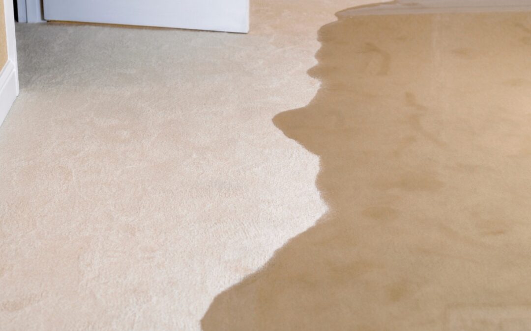 The Long-Term Effects of Water Damage: Why Immediate Restoration Is Critical