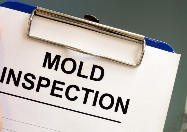 Mold Inspection vs Mold Remediation: Why the First Step Matters