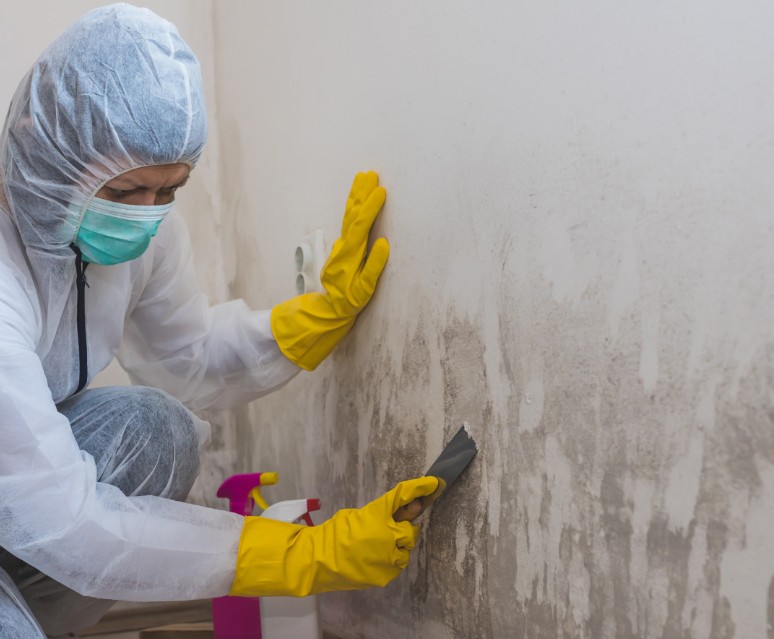 DIY Water Damage Mitigation