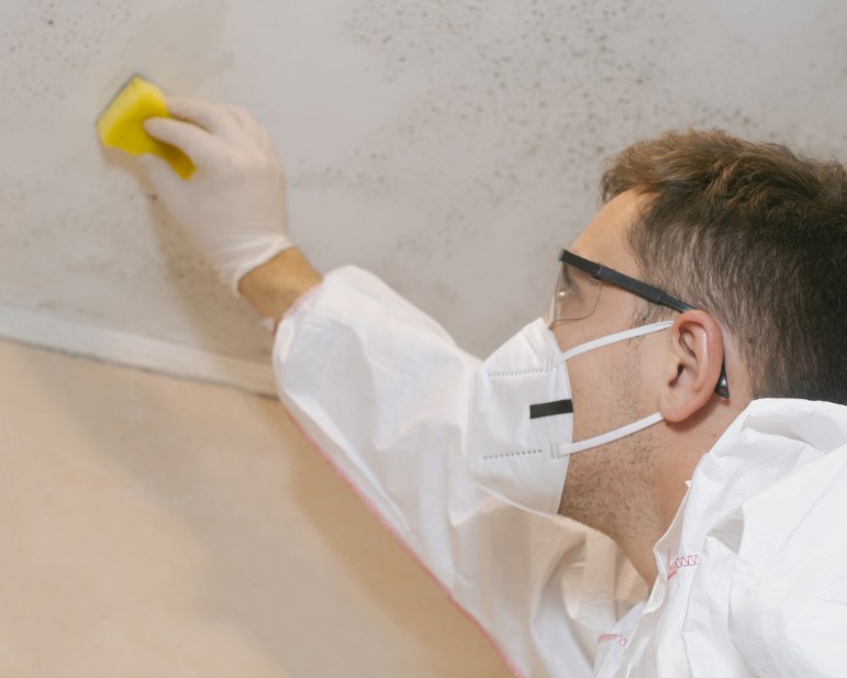 Preventive Measures for Property Owners
