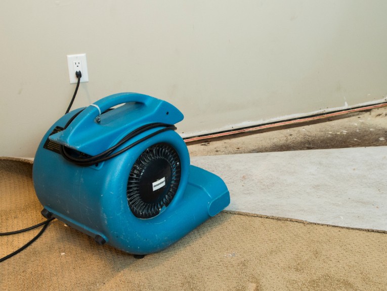 Water Removal and Extraction