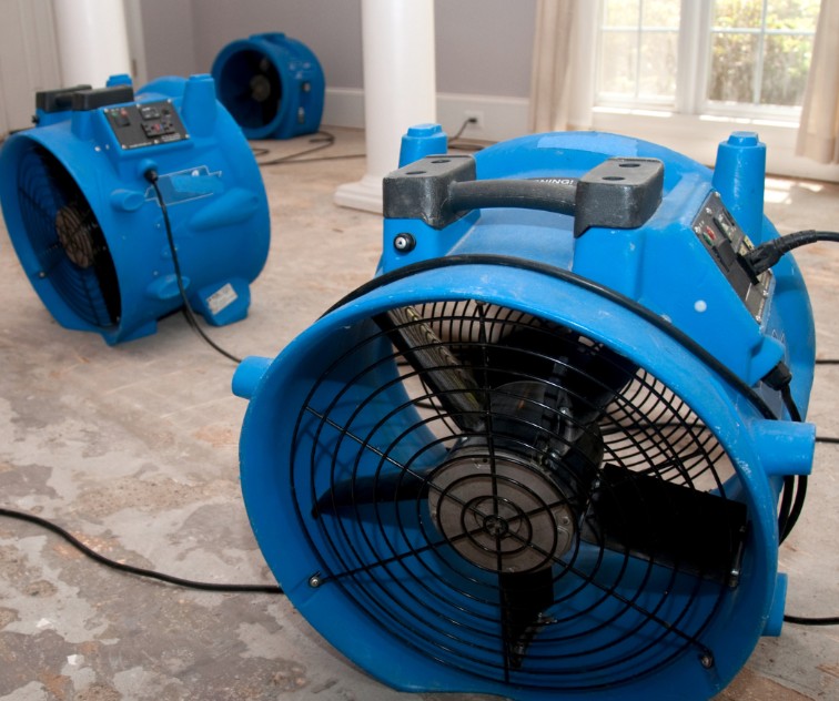 Water Restoration Services: What is the Process