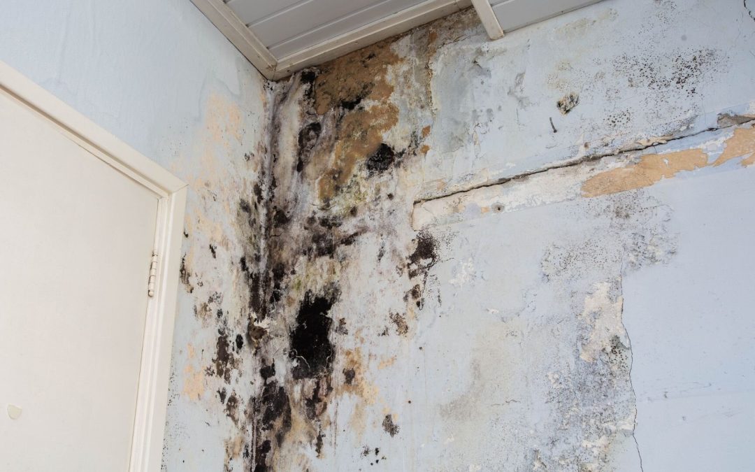 Signs Your Home May Have Hidden Water Damage (And What to Do About It)