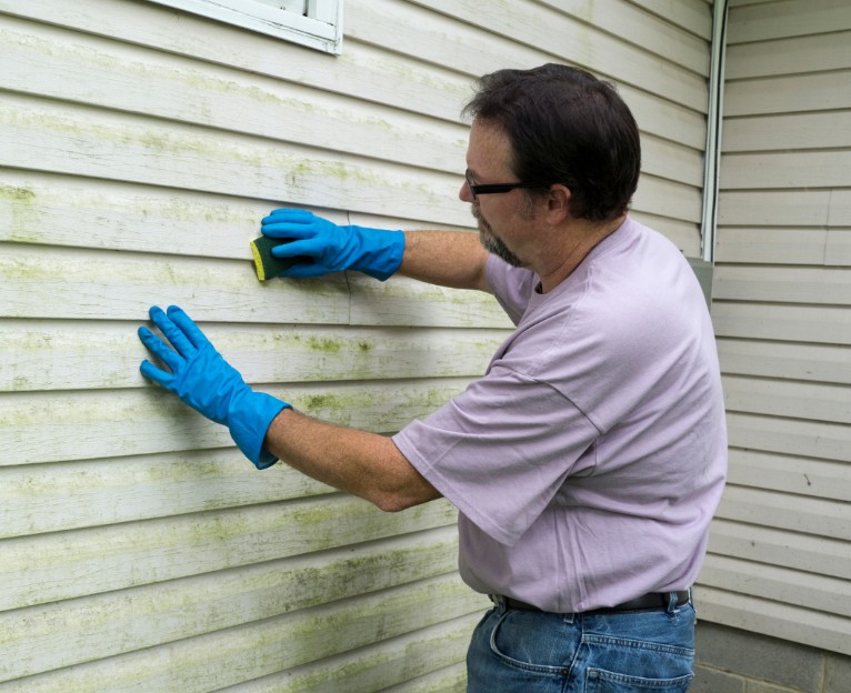 Unexpected Benefits of Proper Siding Restoration
