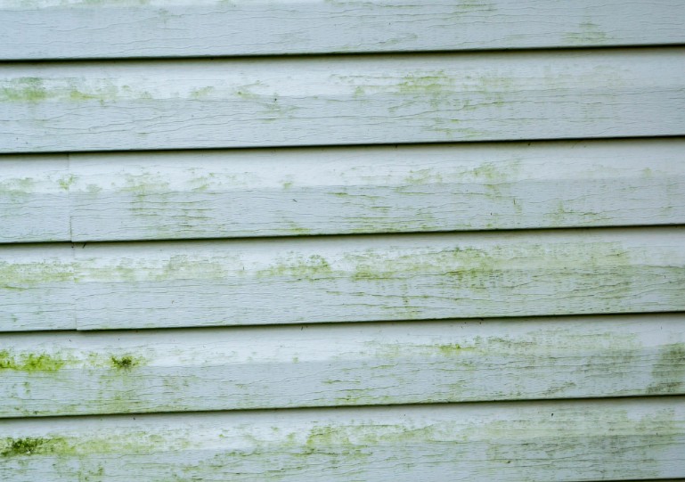 When to Call a Professional Siding Restoration Company