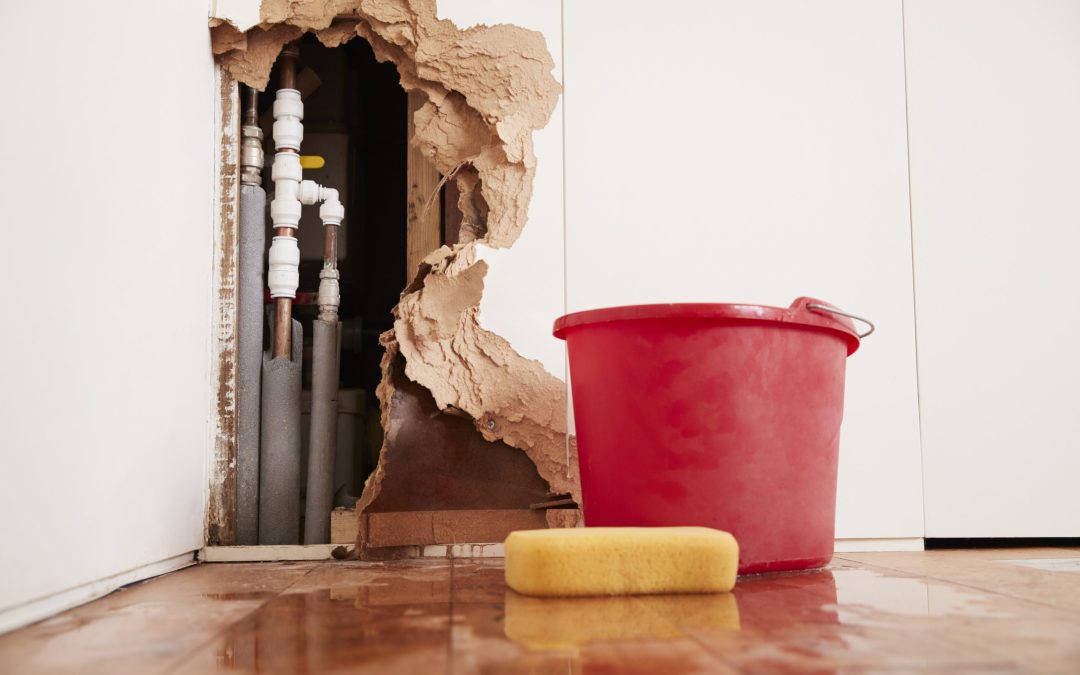 Saving Your Property: The Waite Park Water Damage Restoration Process Explained