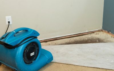 Who To Call For Water Restoration in Waite Park, MN?