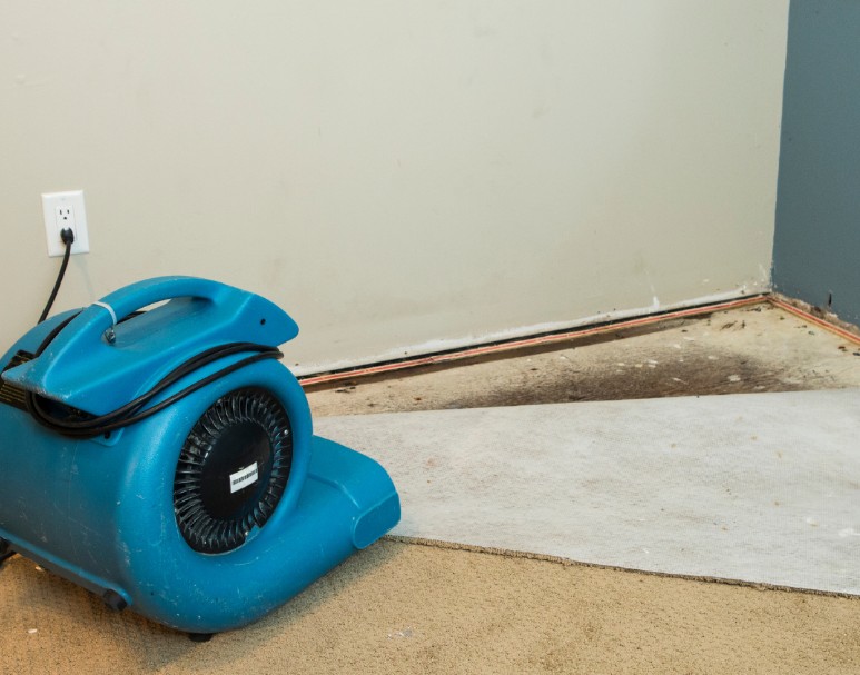 Who To Call For Water Restoration in Waite Park, MN?