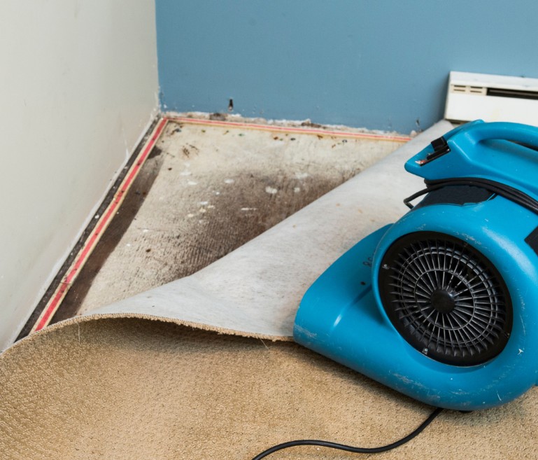 Why Choose Precision Restoration In Waite Park, MN