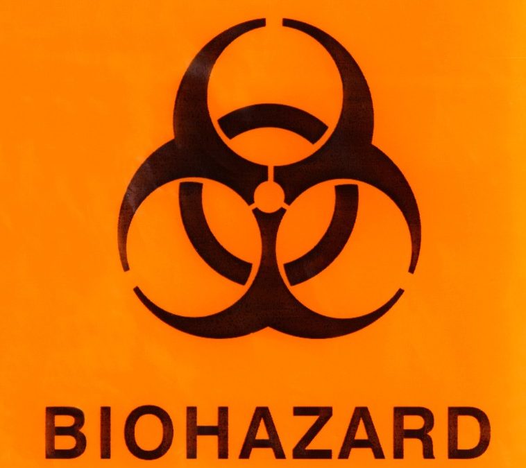 What Are the 4 Types of Biological Hazards?